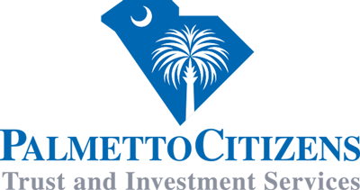 Palmetto citizens online online login